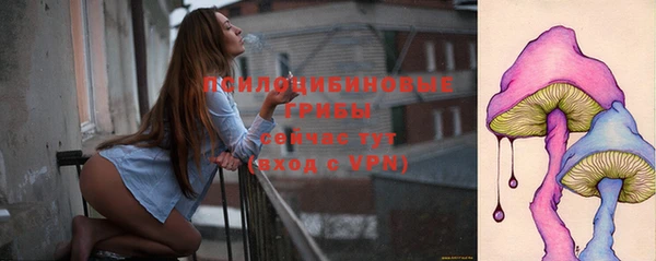 метамфетамин Богданович