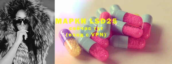 mdpv Бородино