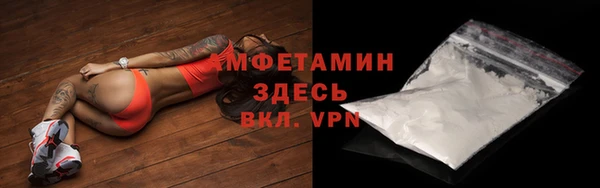 крисы Богородицк