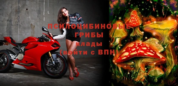метамфетамин Богданович