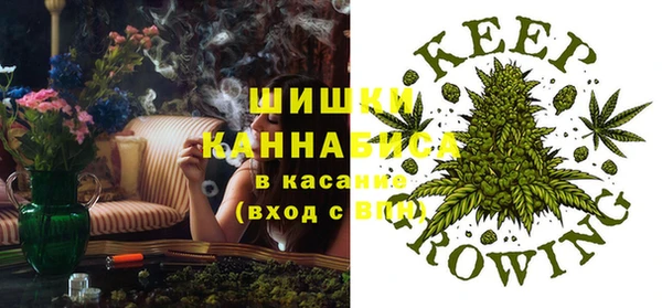 крисы Богородицк