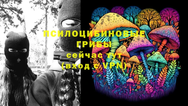 дмт Бугульма