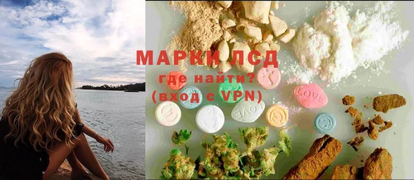 индика Белоозёрский