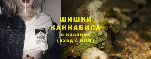 тгк Бронницы