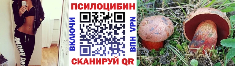сколько стоит OMG tor Псилоцибиновые грибы мицелий Биробиджан